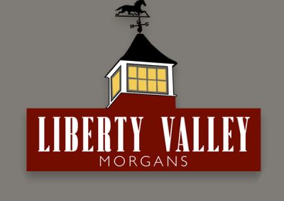 Liberty Valley Morgans